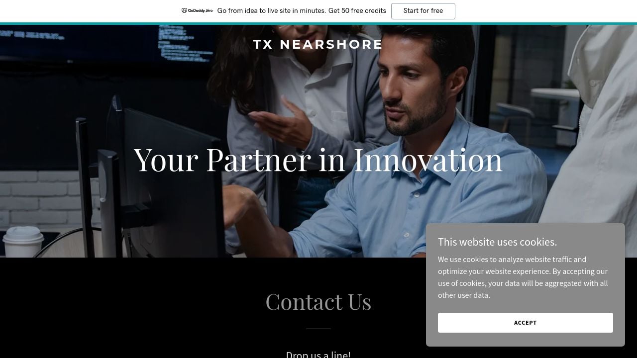 Screenshot of Txnearshore.com