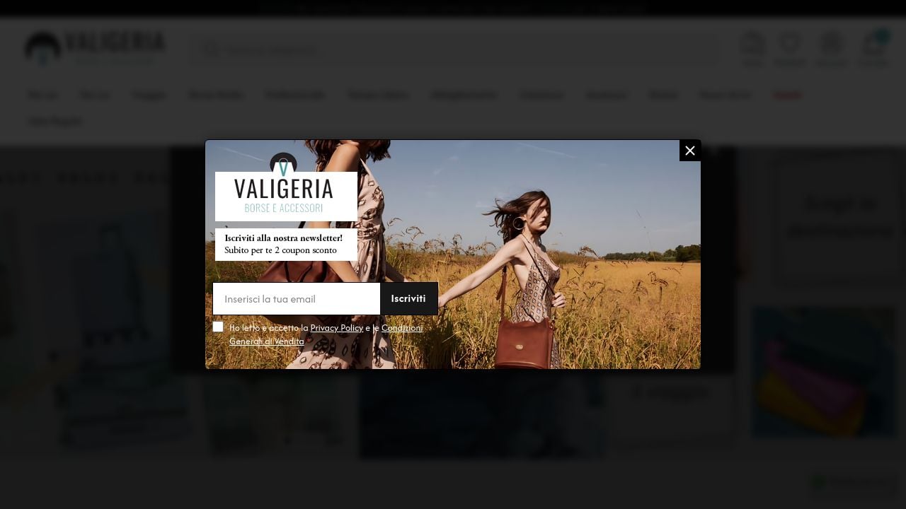 Screenshot of Valigeria.it