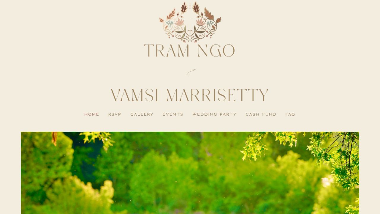 Screenshot of Vamsiwedstram.com