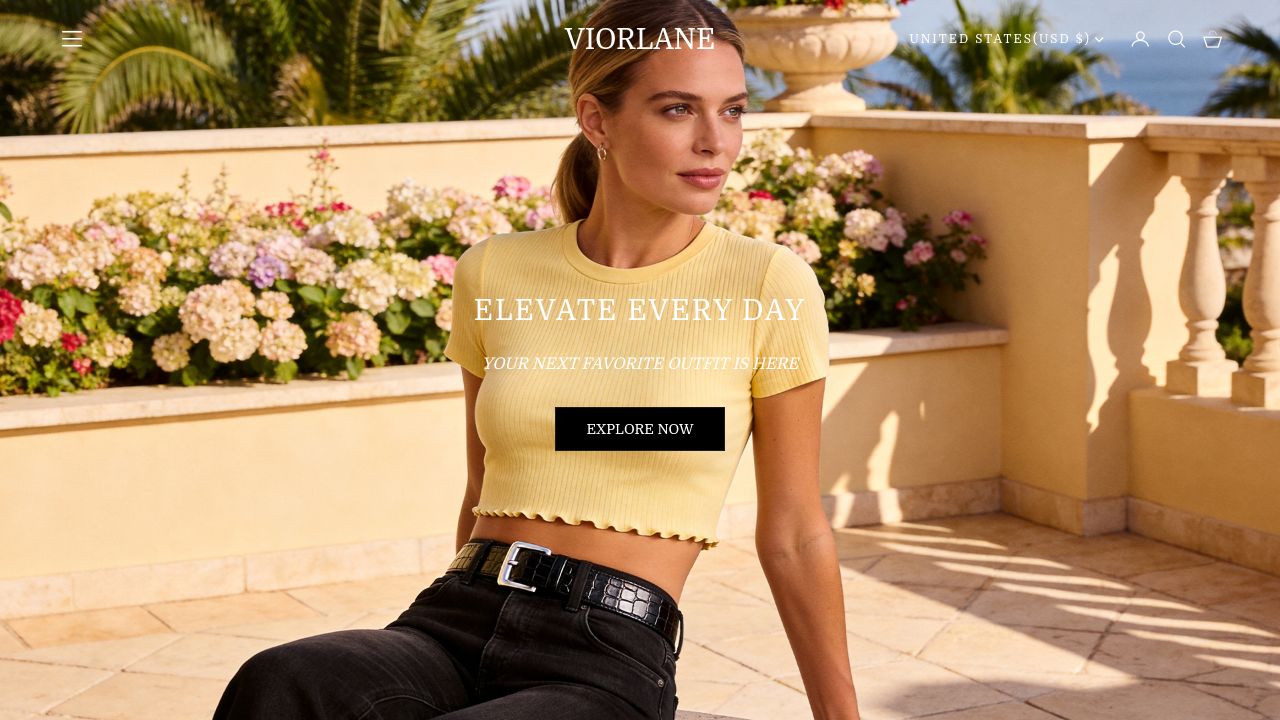 Screenshot of Viorlane.com