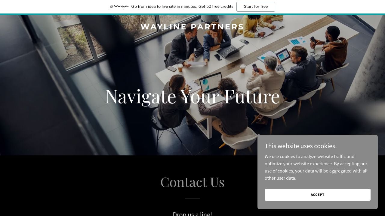 Screenshot of Wayline-partners.com