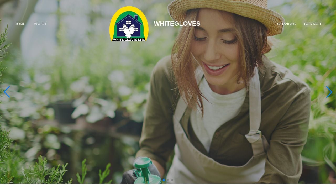 Screenshot of Whiteglovesgh.com