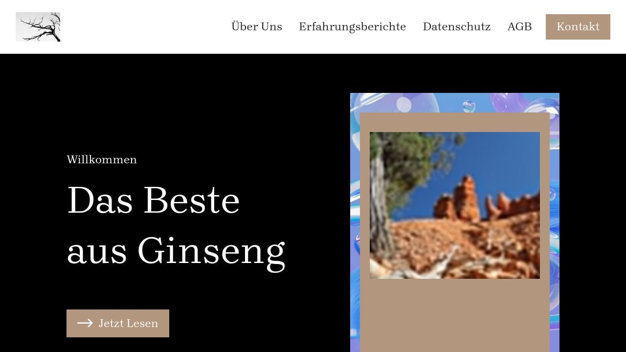 Screenshot of Zelunica.site