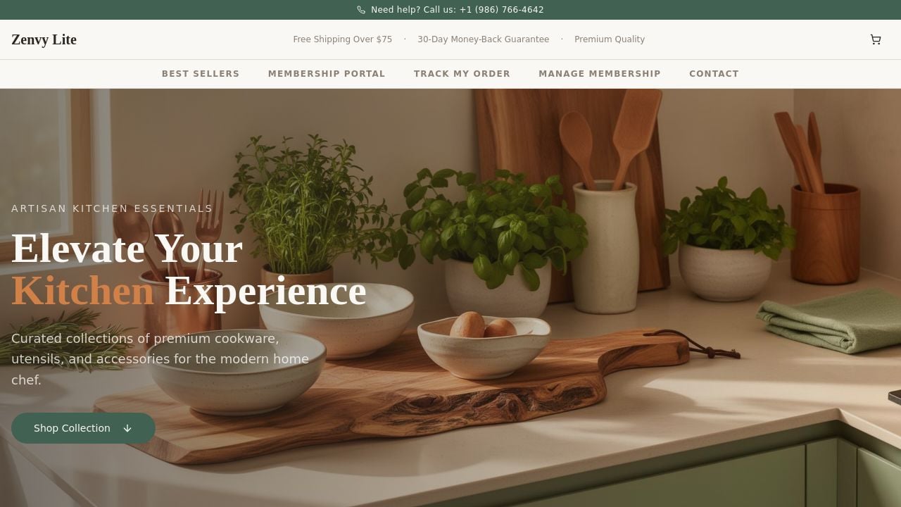 Screenshot of Zenvylite.com