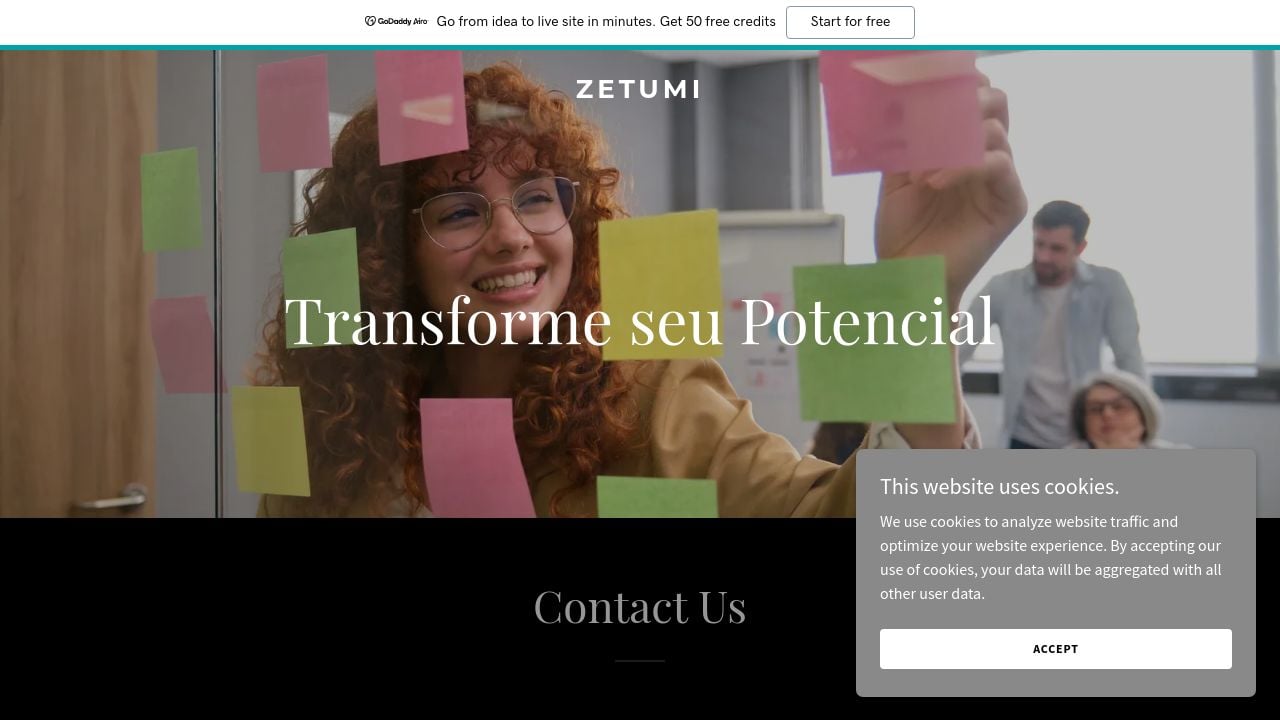 Screenshot of Zetumi.com